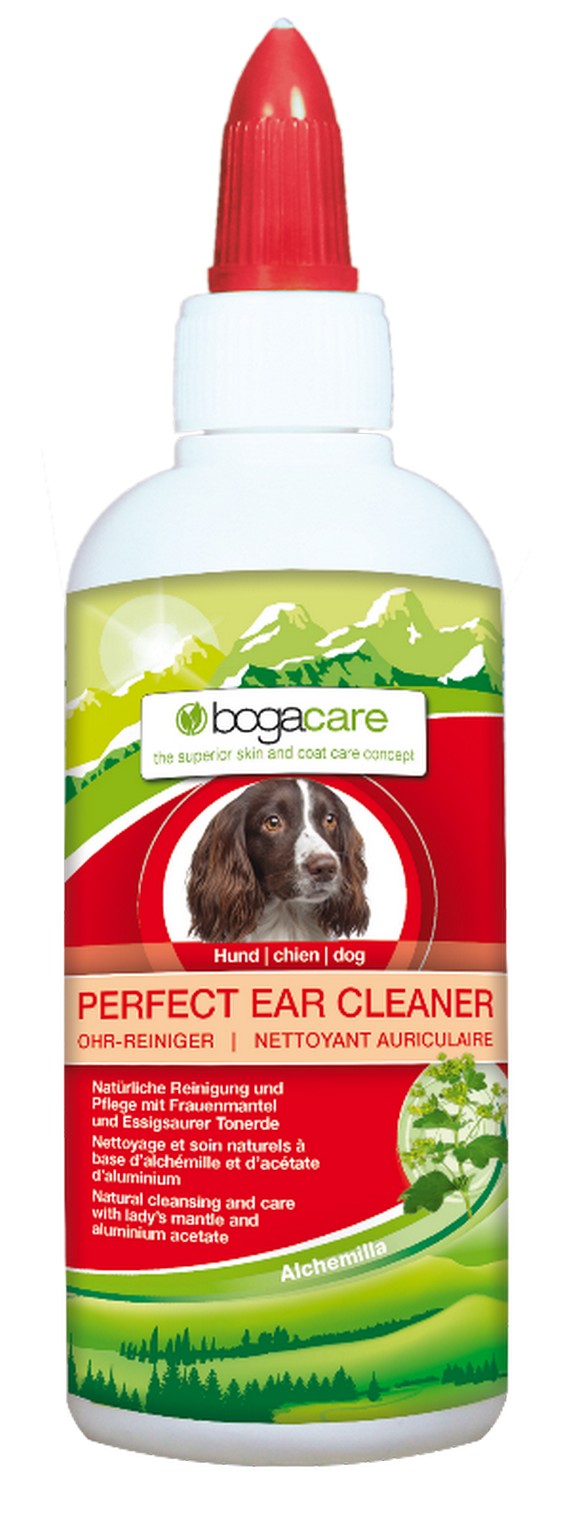 bogar