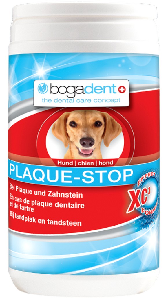 Bogar