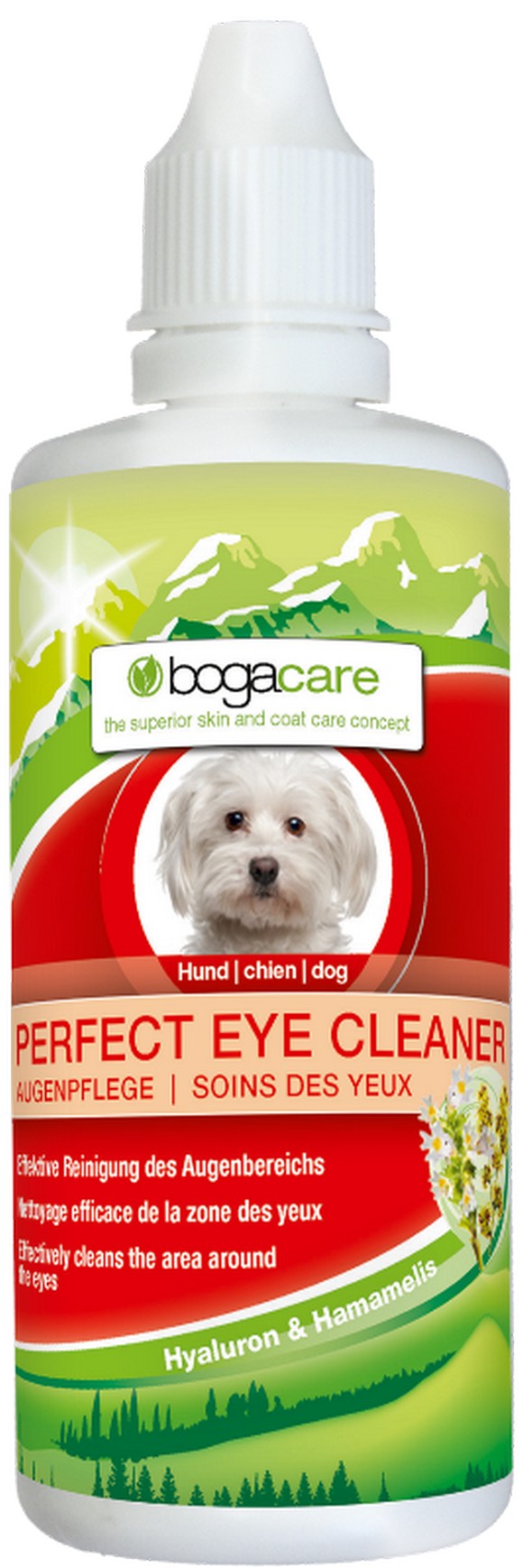 Bogar