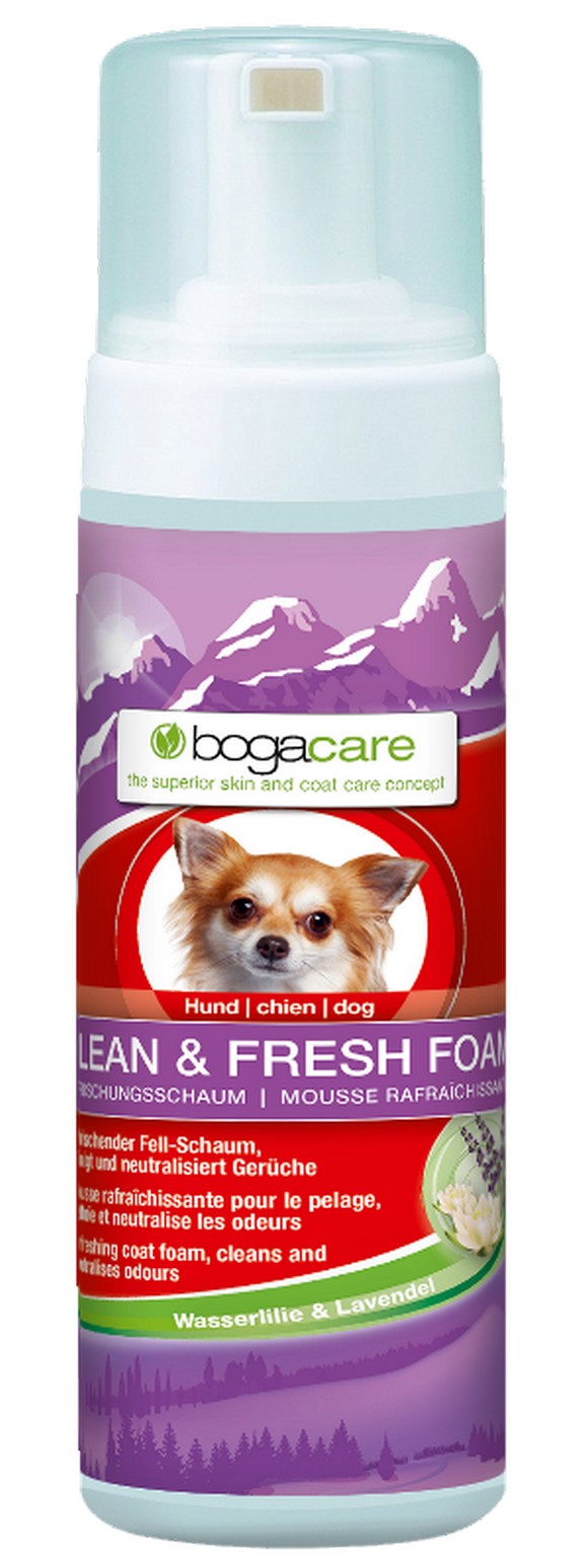 Bogar