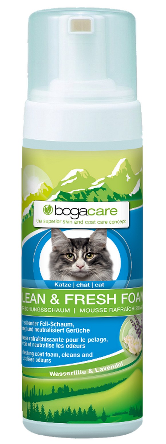 Bogar