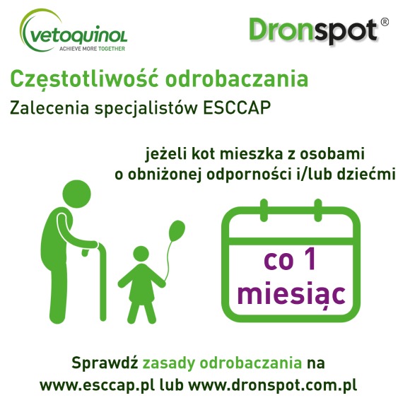 DRONSPOT KROPLE NA PASOŻYTY DLA KOTA