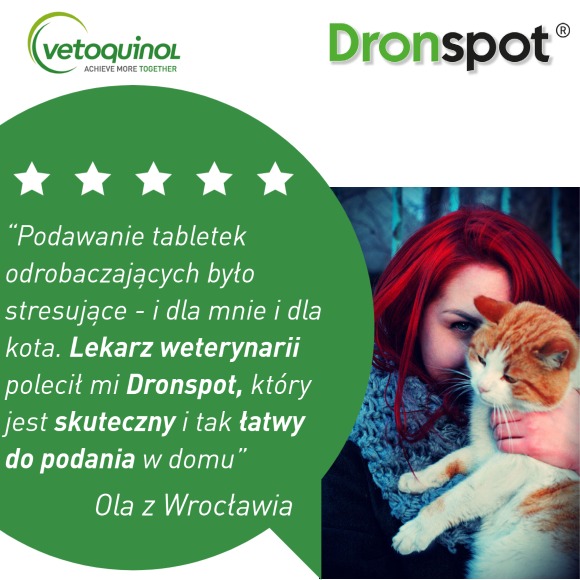 DRONSPOT KROPLE NA PASOŻYTY DLA KOTA