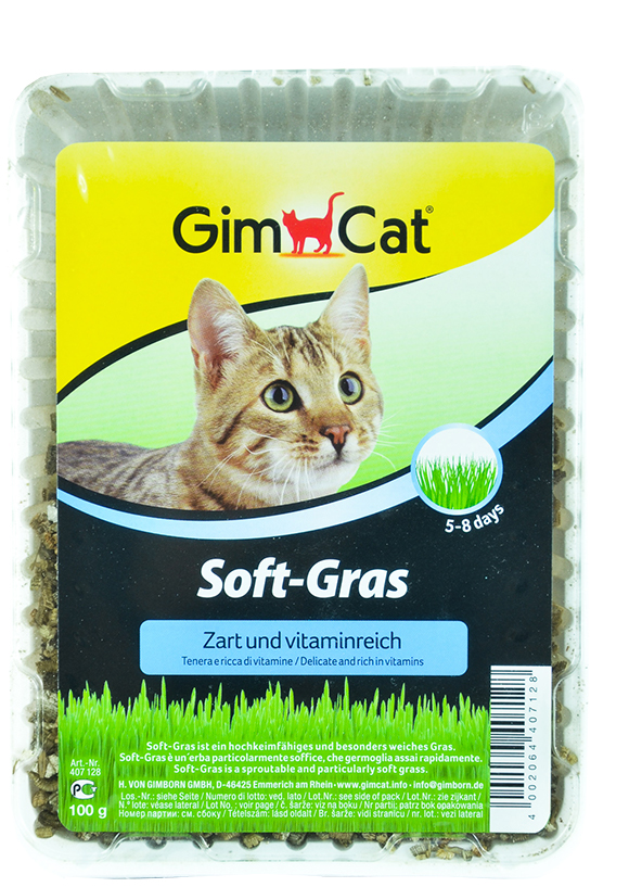 GIMCAT SOFT-GRASS szybkorosnąca trawa dla kota