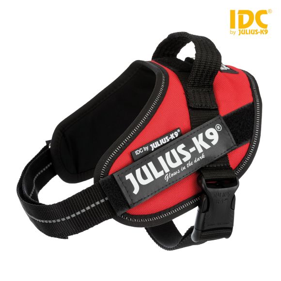 JULIUS-K9 IDC POWER MINI-MEDIUM SZELKI DLA PSA czerwone
