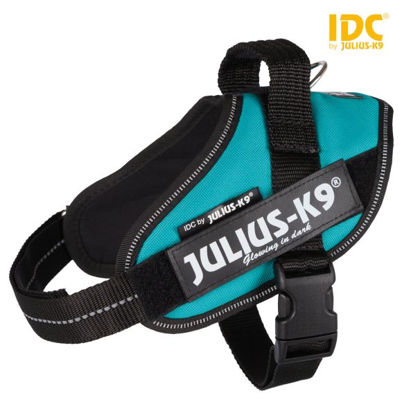 JULIUS-K9 IDC POWER MINI-MEDIUM SZELKI DLA PSA niebieskie