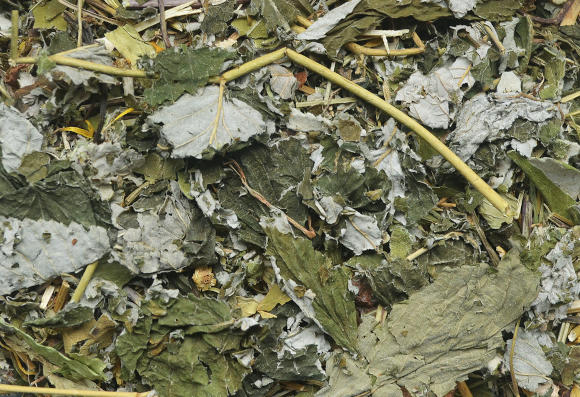 KORONA NATURY NATURAL-VIT MIESZANKA ZIOŁOWA DLA KAWII