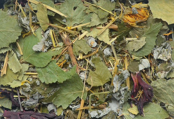 KORONA NATURY NATURAL-VIT MIESZANKA ZIOŁOWA DLA KOSZATNICZKI