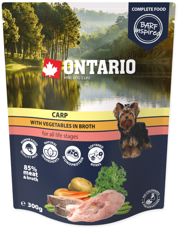 ONTARIO CARP Z WARZYWAMI W BULIONIE KARMA DLA PSA