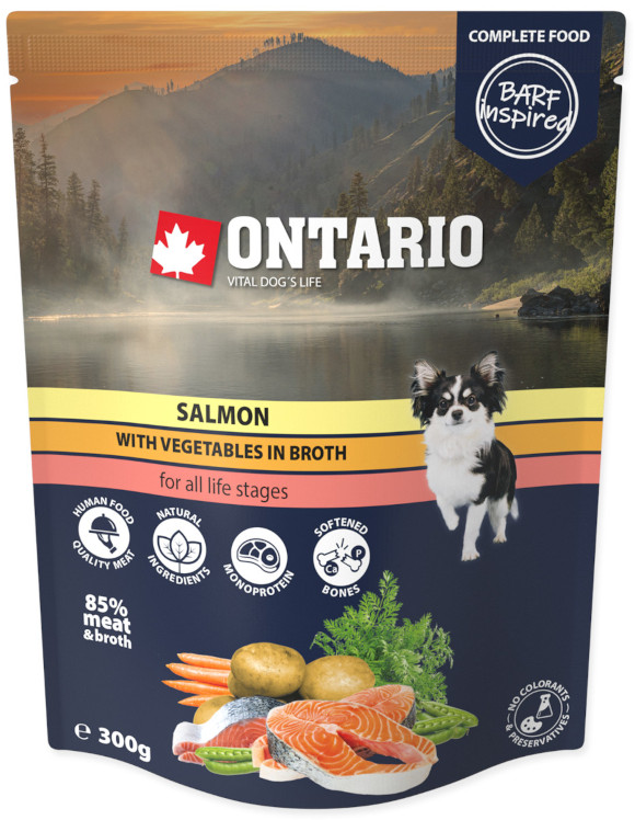 ONTARIO SALMON Z WARZYWAMI W BULIONIE KARMA DLA PSA