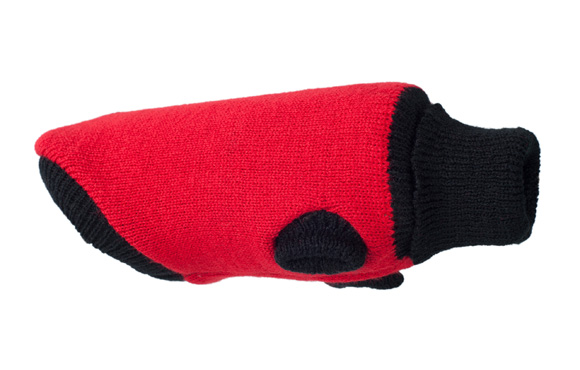Amiplay sweter dla psa