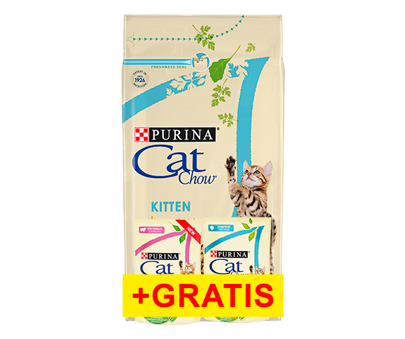 cat chow kitten karma dla kociąt