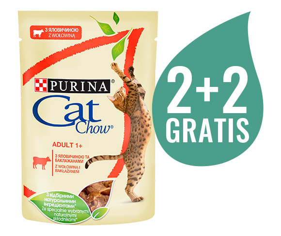 CAT CHOW MOKRA KARMA DLA KOTA - z wołowiną i bakłażanem