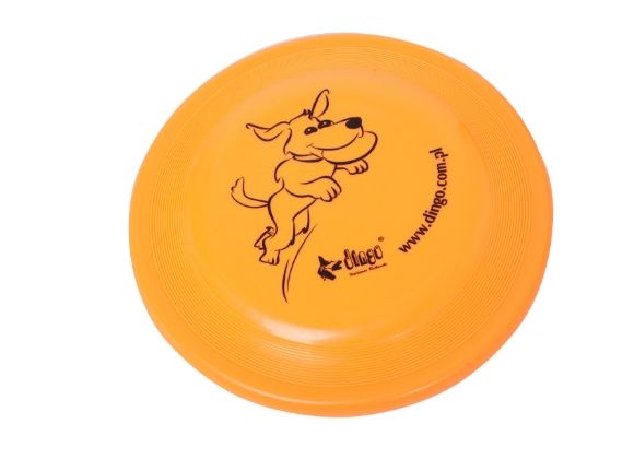 dingo frisbee dla psa