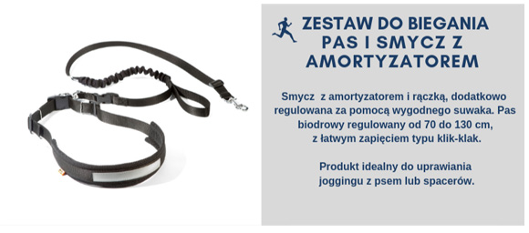 Dingo pas i smycz do biegania z psem
