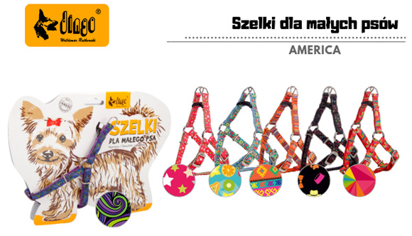 dingo America szelki dla małego psa
