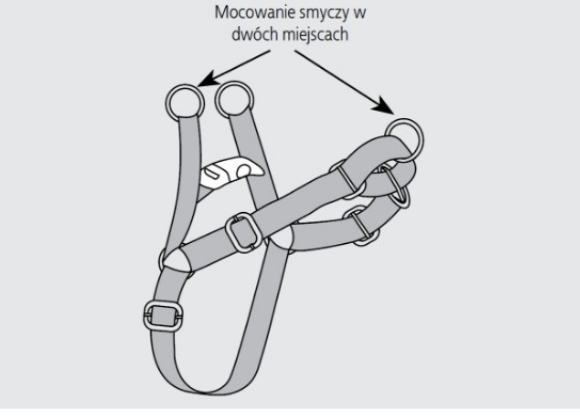 dingo szelki easy walk dla psa mocowanie smyczy