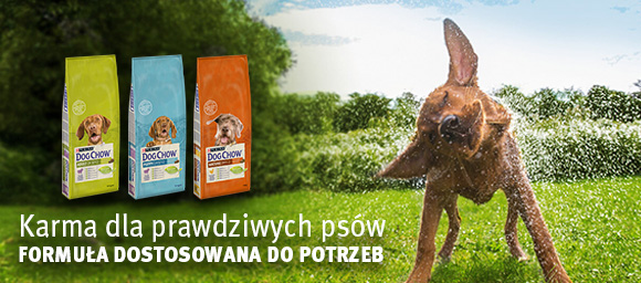 karma dog chow dla psa