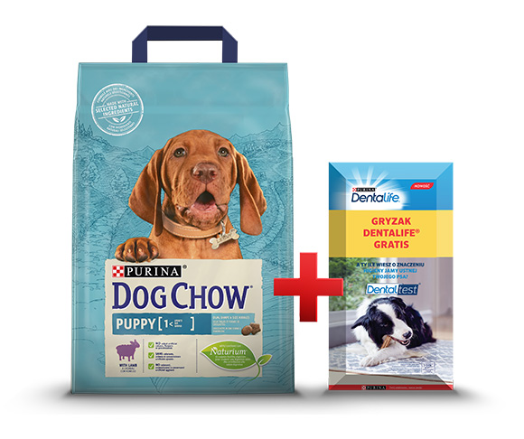 karma Dog Chow dla szczeniąt + przysmak gratis