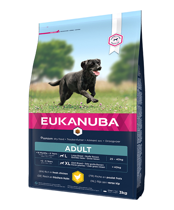 Eukanuba adult large sucha karma dla psa