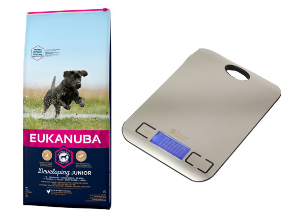 karma eukanuba junior large breed + waga gratis