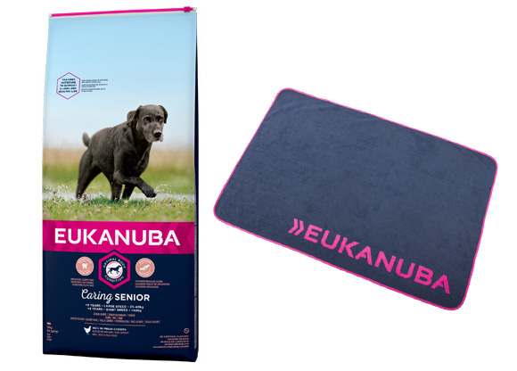 karma Eukanuba Senior Large + kocyk gratis