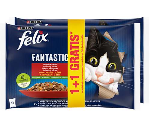  mokra karma dla kota saszetki felix