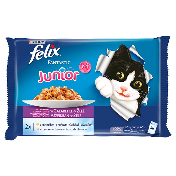 7613033736285 karma Felix dla kociąt