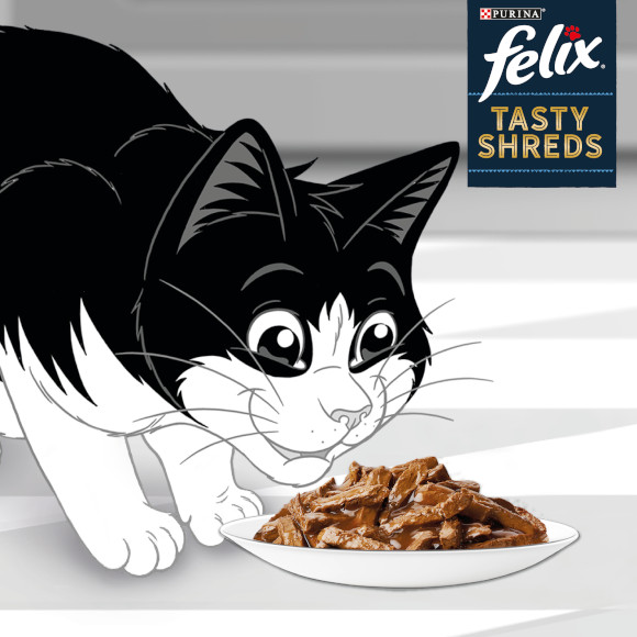 karma Felix dla kota