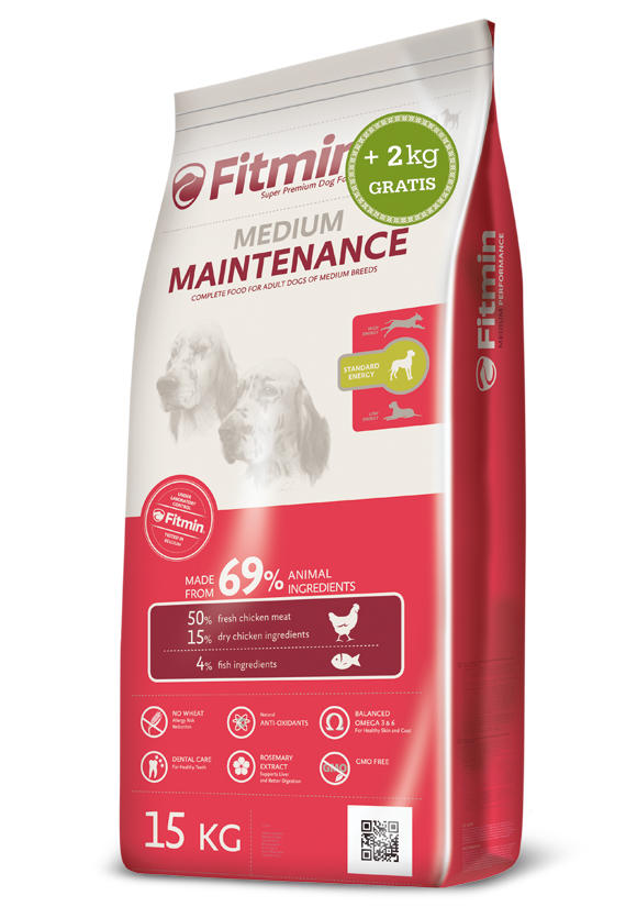 FITMIN PROGRAM MEDIUM MAINTENANCE