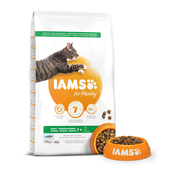 karma iams dla dorosłych kotów