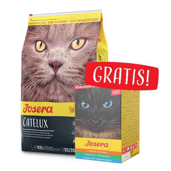 sucha karma Josera Cat catelux w zestawie z mokrą karmą dla kota gratis