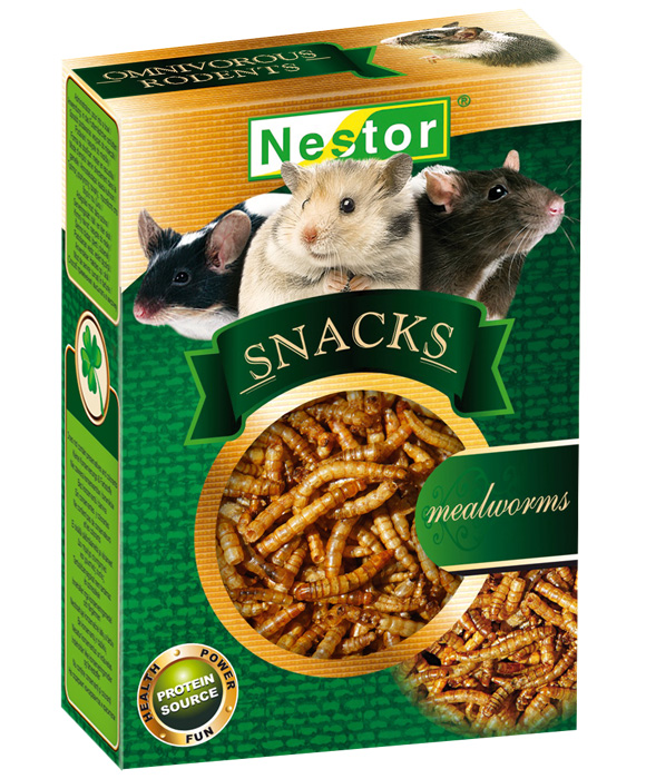 Nestor larwy mącznika