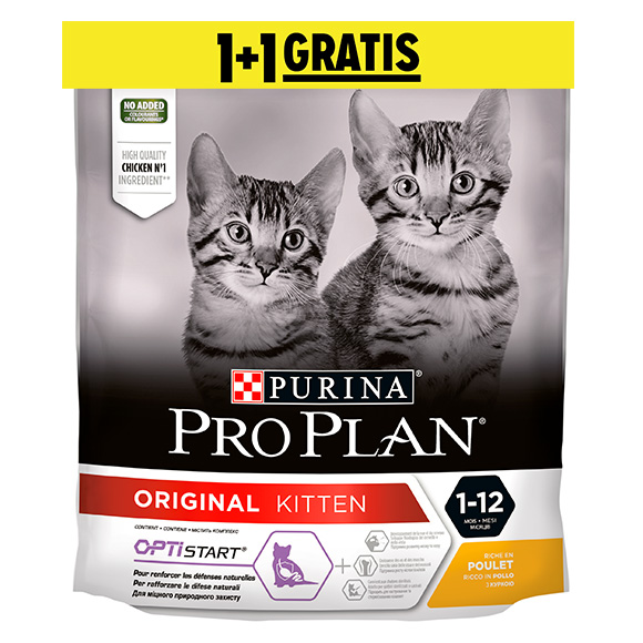 pro plan kitten sucha karma dla kociąt