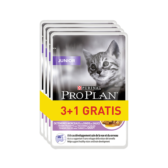 pro plan mokra karma dla kota 3+1 gratis