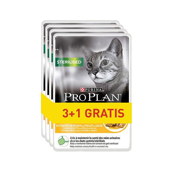 pro plan mokra karma dla kota 3+1 gratis