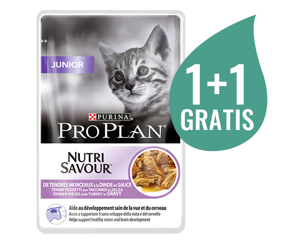 pro plan junior mokra karma dla kociąt