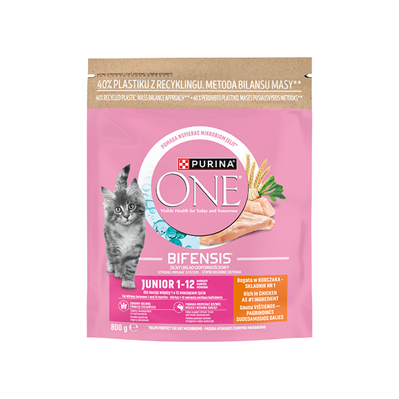 purina one sucha karma dla kota