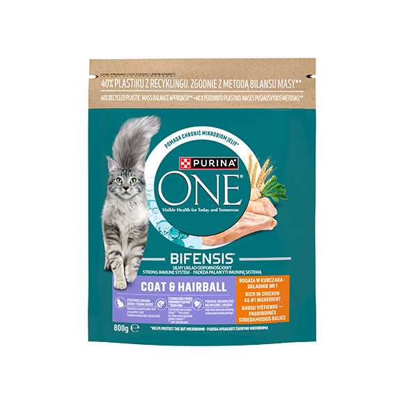 purina one sucha karma dla kota