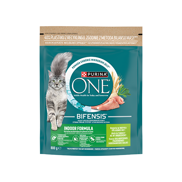 purina one sucha karma dla kota