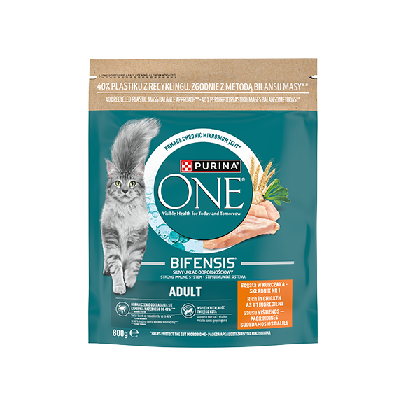 purina one sucha karma dla kota
