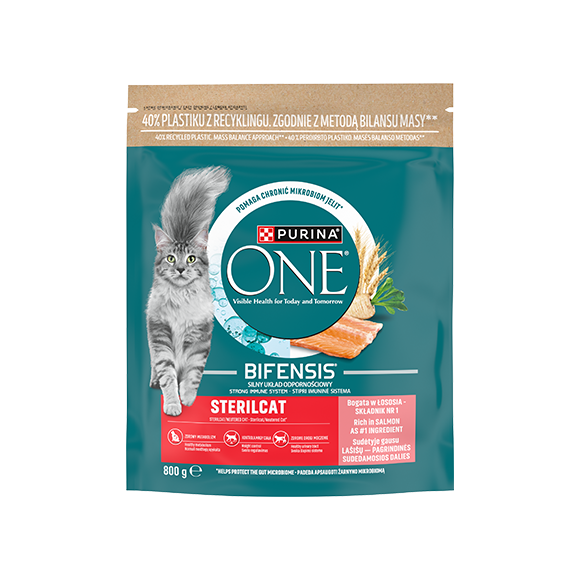 purina one sucha karma dla kota