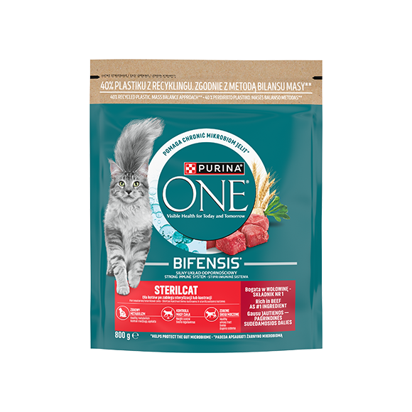 purina one sucha karma dla kota