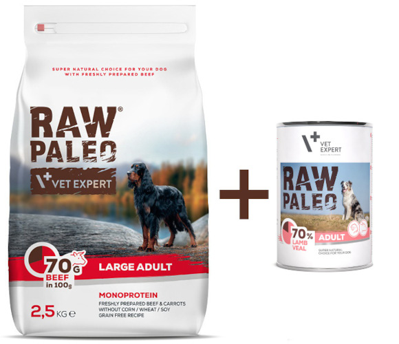 VET EXPERT RAW PALEO ADULT LARGE MONOPROTEIN KARMA DLA PSA wołowina