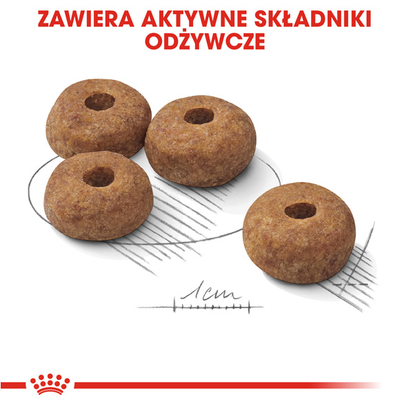 royal canin medium sterilised karma dla psa