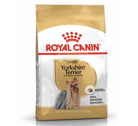 karma royal canin dla dorosłego yorka