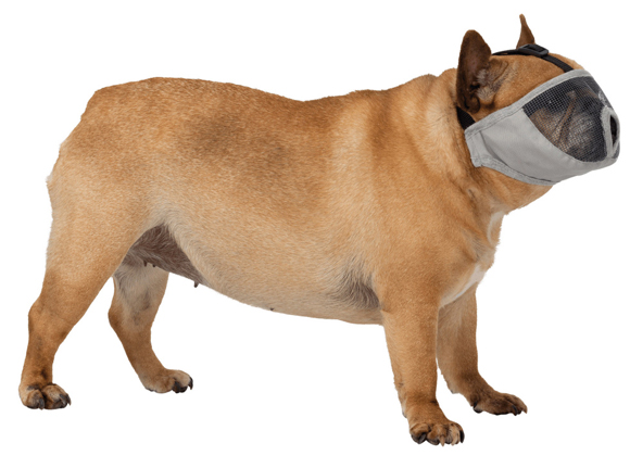 trixie muzzle kaganiec dla psów ras krótkopyskich