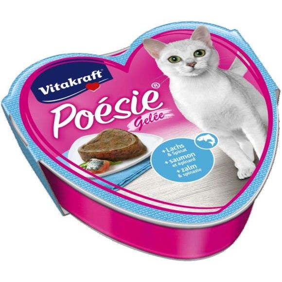 4008239353191 poesie dla kota