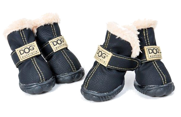 Zolux czarne buty dla psa