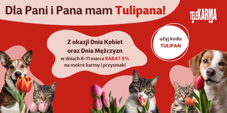 Dla pani i Pana mam Tulipana - Dzień Kobiet i Dzień Mężczyzn w Telekarmie